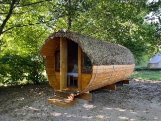 Campingul Apusenilor - 5