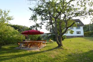 Ferienwohnungen Pfeil - Nieder-Werbe - 4
