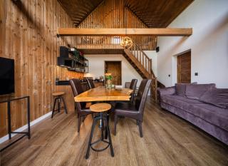 REST ZONE - mountain holiday chalets - Ściegny - 1