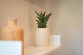 Charmant Studio avec Parking Gratuit - Vals-les-Bains - 1