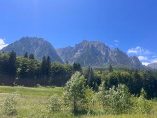Pensiunea la Busteni - Bușteni - 8
