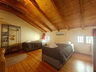 George Apartment - Città di Lefkada - 9