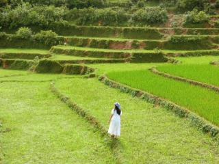 Lagom Bắc Hà Farmstay - Lao Cai - 9