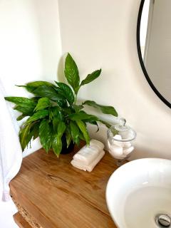 The Lily Suite - Plettenberg Bay - 8