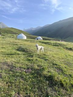 Горные Юрты Чункурчак Yurt Camp in the Mountains - Alamedin - 1