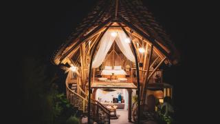 Wiwaka Harmony in Nature - 1