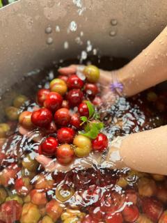 Lagom Bắc Hà Farmstay - Lao Cai - 7