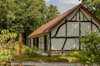 Villa Lodge met Jacuzzi - 8 personen - Woodz Lodges - Heusden-Zolder - 3