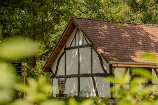 Villa Lodge met Jacuzzi - 8 personen - Woodz Lodges - Heusden-Zolder - 2