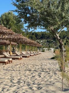 Mira Forest Residences - Sani Beach - 1
