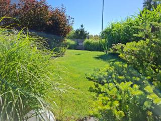 Martinus Apartments - 1