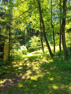 Ferienwohnung "Waldesruh" - Eibenstock - 9