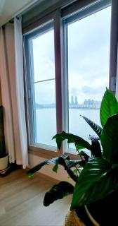 Nani Land - Busan - 7