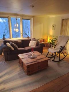 Norrlycka Stuga - Ski, lake and forest - - 8