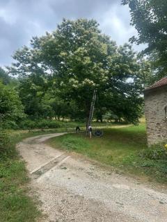 Domaine du Fourtet - Arfons - 5