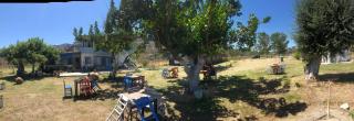 Liman cafe pansiyon - - 2