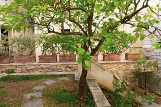 Il Giardino della Giudecca Trani - Trani - 8