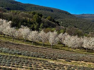 Maison de village, piscine, Colorado - Rustrel - 2