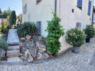 Ferienwohnung am Goldberg - Quirnheim - 8