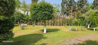 Les Jardins de tamaris - Sidi Rahal - 5