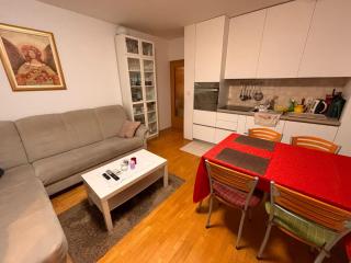 Apartment Budimir - Zagreb - 2