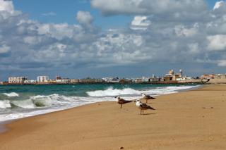 Apartamento centro de Cádiz - Cádiz - 1