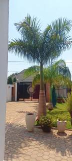 Nyamata room - Mayange - 5