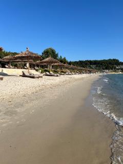 Mira Forest Residences - Sani Beach - 9