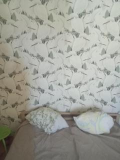 Vitolu Apartment - Liepāja - 0