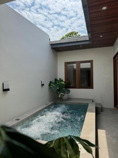 Shinju Villa with Jacuzzi Pool - Jelutong - 1