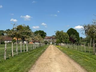 Quesnot family Manor, sleeps 10-22 - Lessard-et-le-Chêne - 0
