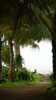 Sagar Tarang Beach Resort - Alibag - 4