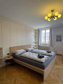 cozy big old town apartment - Klagenfurt - 0
