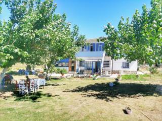 Liman cafe pansiyon - - 0