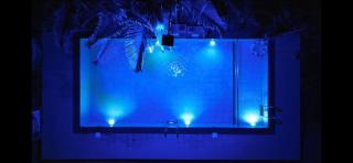 Wayanad Three Roots Stay - 6