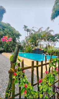 Wayanad Three Roots Stay - 2