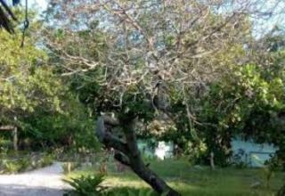 Didimiza Guest House - Utende - 7