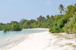 Didimiza Guest House - Utende - 5