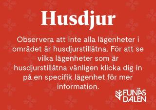 Ljungvind Funäsdalen - Funäsdalen - 9