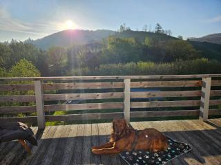Ferienwohnung Bergblick mit Balkon und Garten - familienfreundlich - Heringhausen - 3
