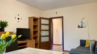Apartament na Saperskiej - Płock - 1