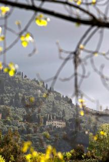 Villa Sant'Andrea - Camaiore - 8