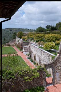 Villa Sant'Andrea - Camaiore - 7
