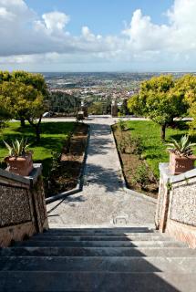 Villa Sant'Andrea - Camaiore - 5
