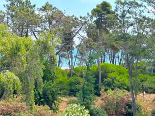 L'appartement Pianosa - Aléria - 6