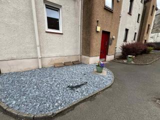 Albyn Retreat - Donnini Apartments - Prestwick - 6