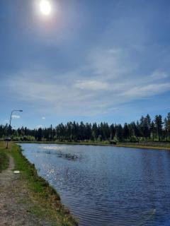 Fromhedens Camping - - 9