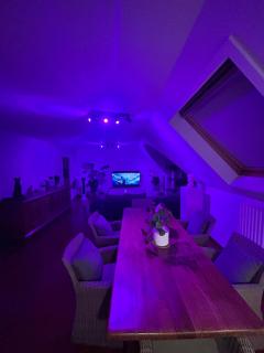 Penthouse tomorrowland 700m from entrance - Boom - 5