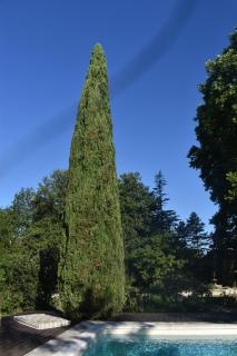Chateau du Jonquier - Mazan - 2