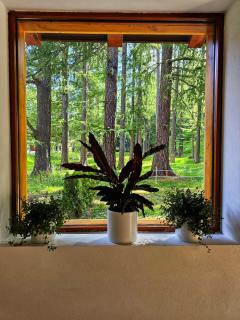 Lärchen Lodge - Oberwald - 8